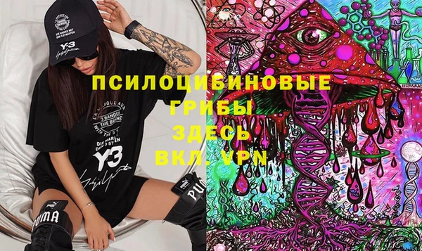 прущие грибы Нягань