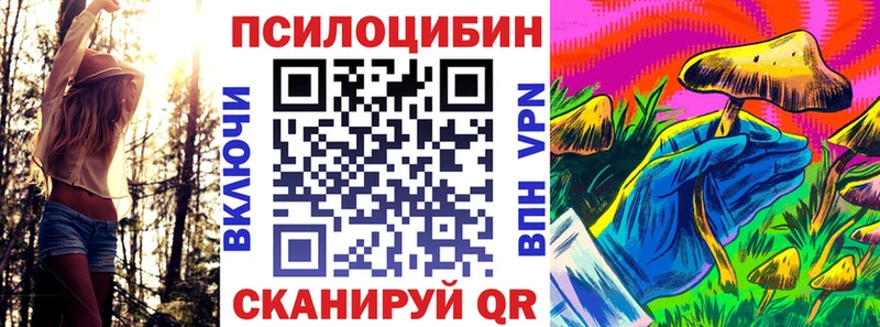 цена   блэк спрут как зайти  Псилоцибиновые грибы мицелий  Красноярск 