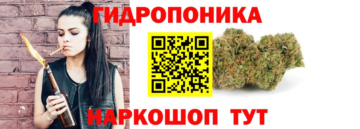 Бошки Шишки OG Kush  Канабис VHQ  Вход с VPN  Красноярск  Каннабис план  Бошки Шишки тримм 